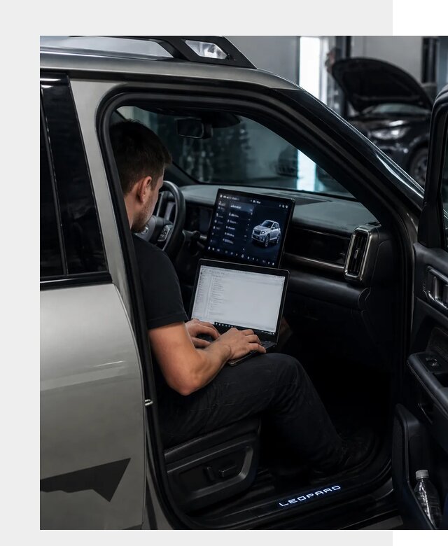 Русификация BYD Leopard 3 в Светлограде по цене от 20214 р. | ФастМобиль-Свт