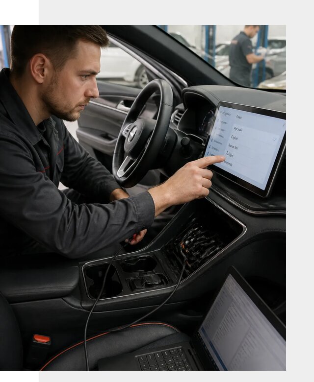 Профессиональная русификация BYD SONG Plus в Светлограде